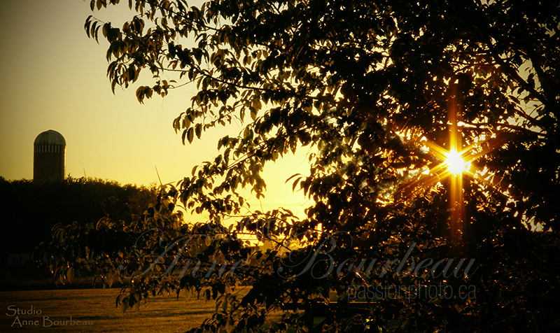 Paysage d'étét avec cadre naturel et soleil en étoile  cours de photo passion photo.ca