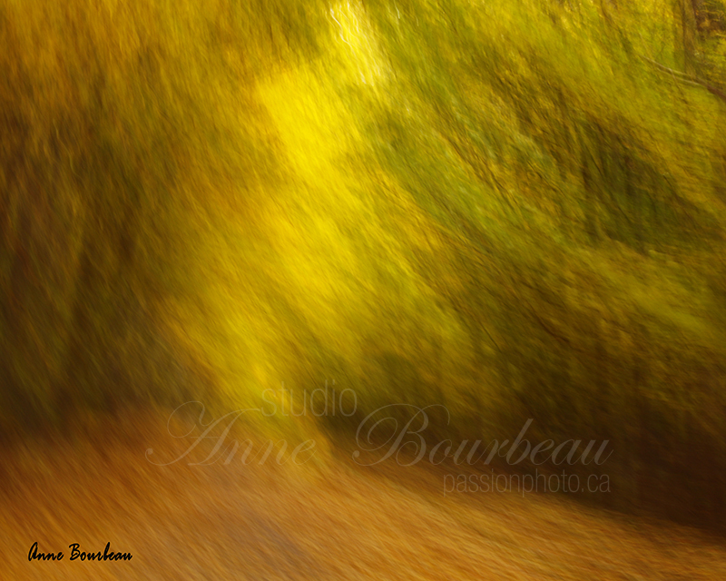 Paysage d'automne avec flou artistique  cours de photo passion photo.ca