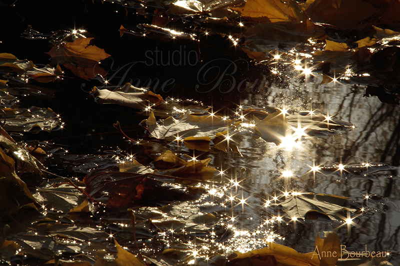 Reflet dans l'eau avec soleil en étoile en automne