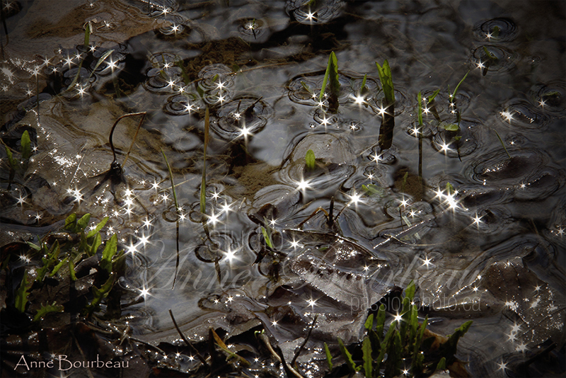 Reflet dans l'eau avec soleil en étoile  cours de photo passion photo.ca